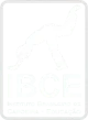 Logo IBCE B